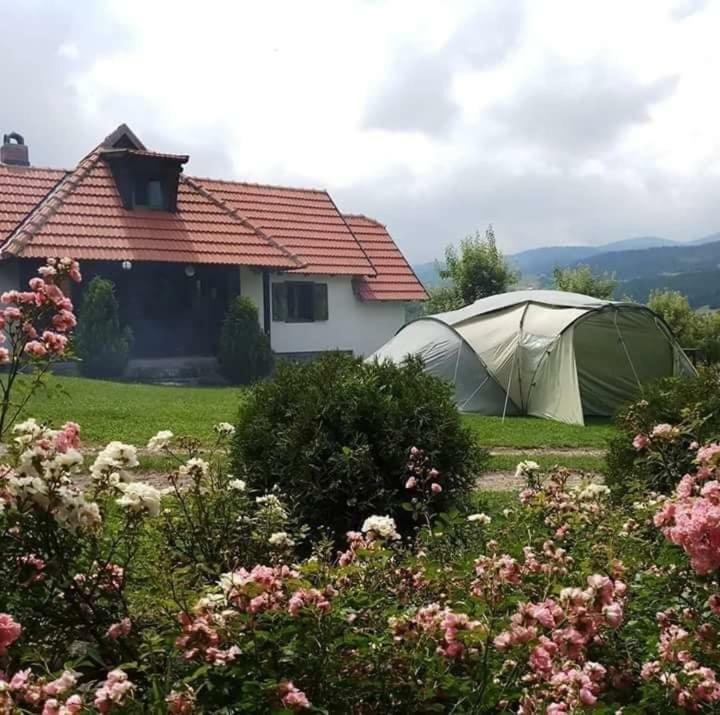 شقة Camp Viljamovka Kremna المظهر الخارجي الصورة